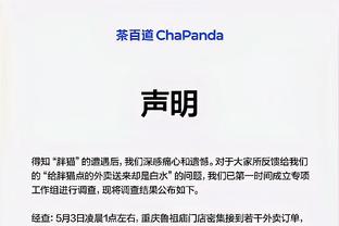 开云app体育官网入口下载